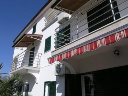 Lepur Branko | Tourist Board Vodice